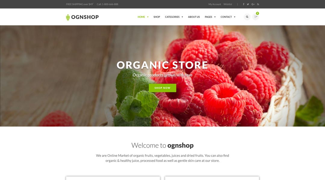 Ognshop Organic Food & Health Products Shopify Theme