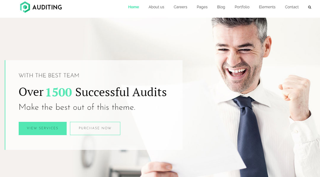 Auditing Finance WordPress Theme