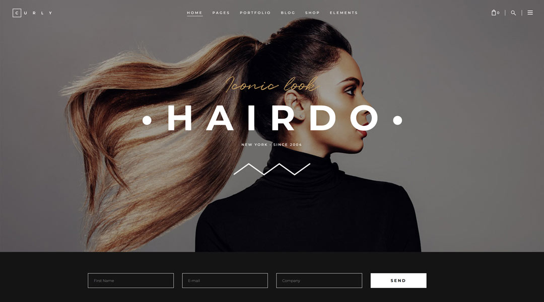 Curly Stylish Theme for Hairdressers and Hair Salons