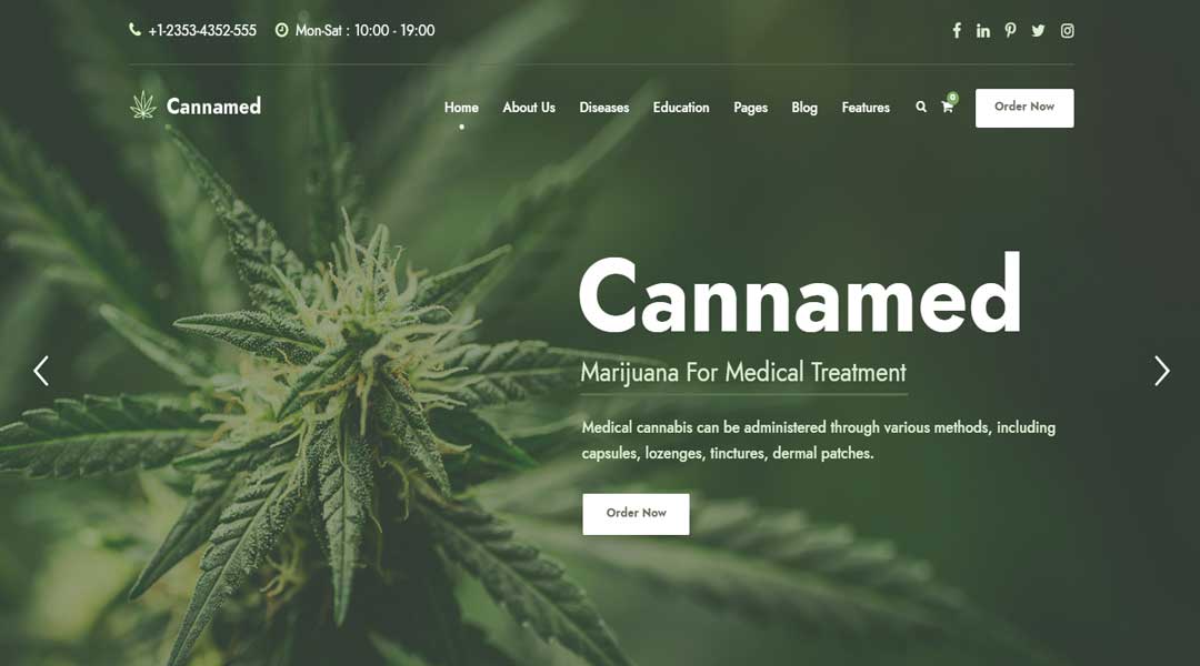 Cannamed Cannabis & Marijuana WordPress