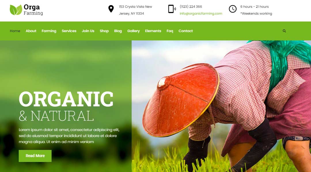 Orga organic farm and food WordPress theme