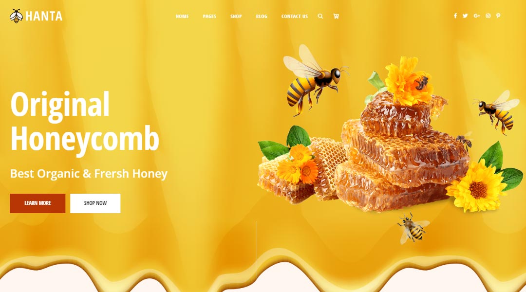 Hanta honey shop WordPress Theme