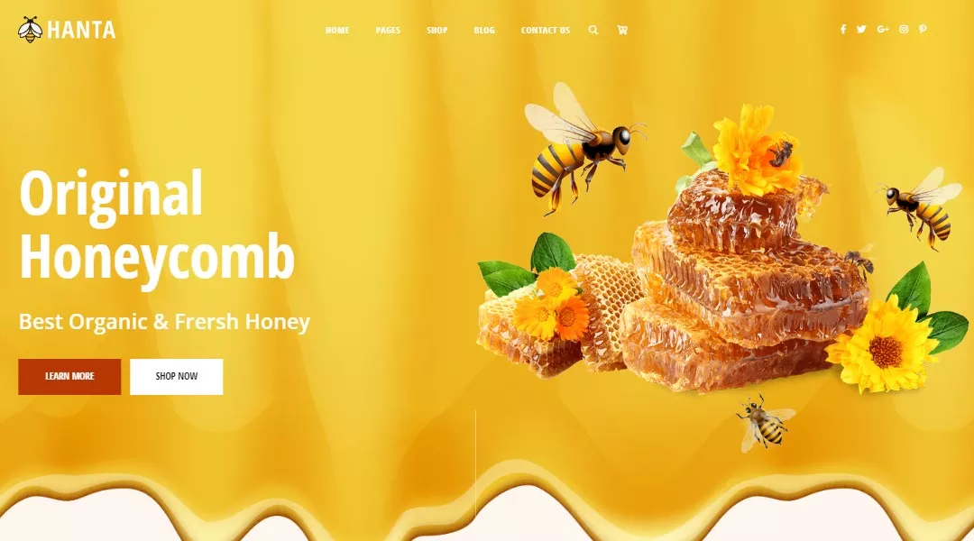 Hanta honey shop WordPress Theme