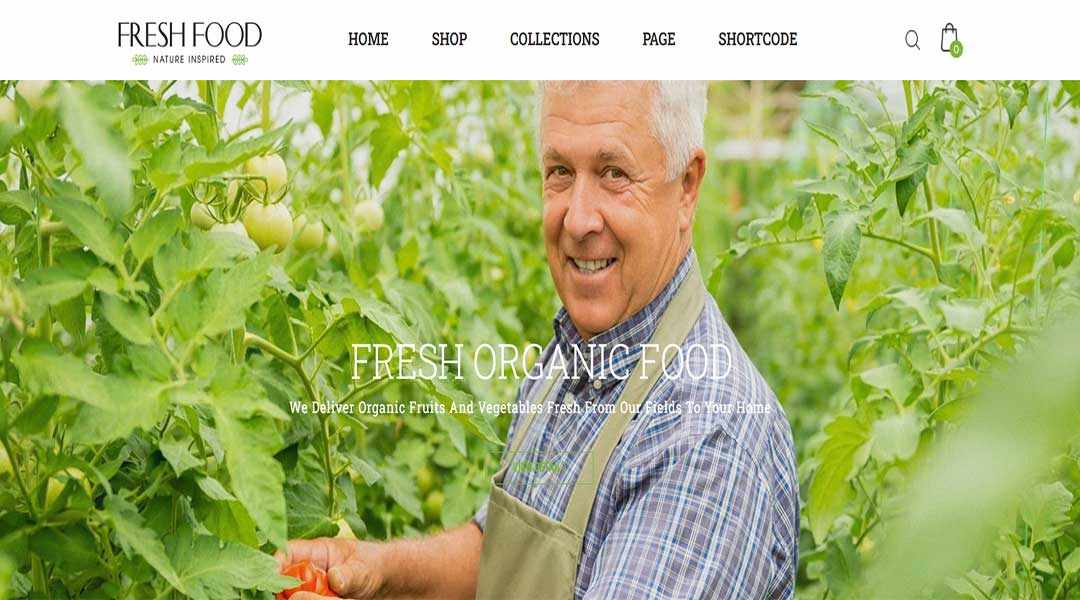 Fresh-Food- Organic food ecommerce theme