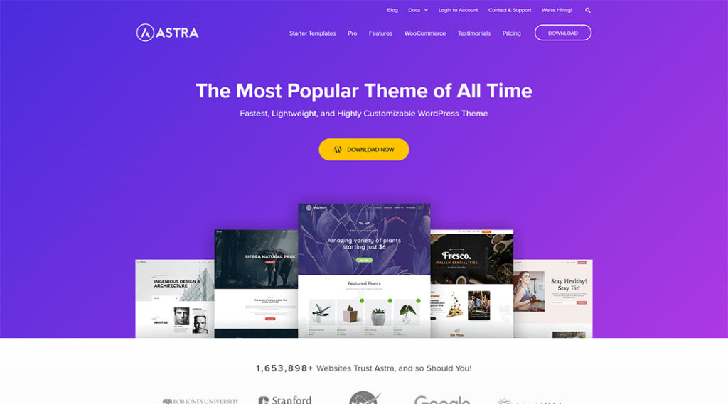 Astra Best free WordPress themes for business