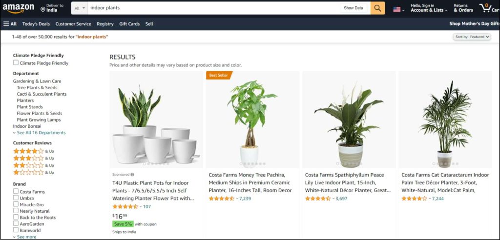 Amazon Search Result For Indoor Plants