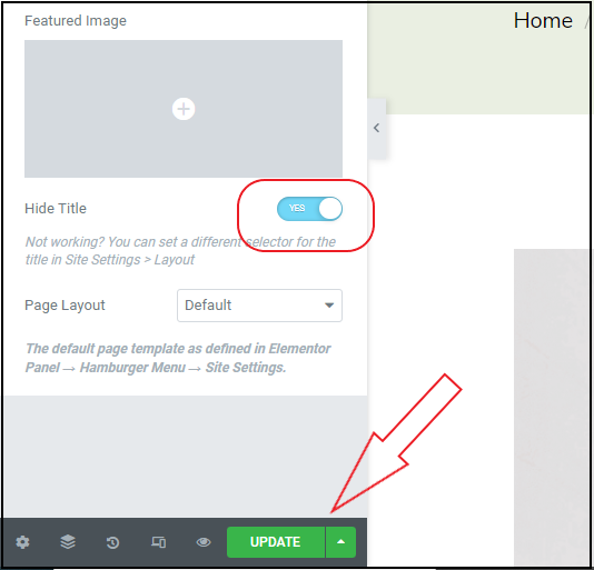 Click hide title button to hide page title in WordPress
