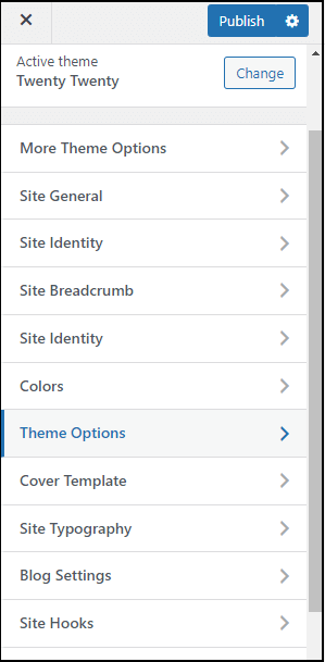 Click theme options on WordPress customizer