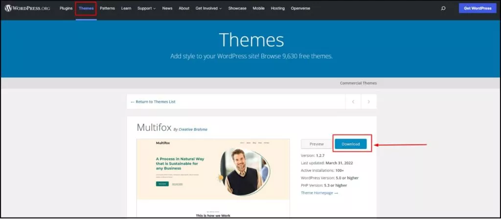 Downloading theme from WordPress.org