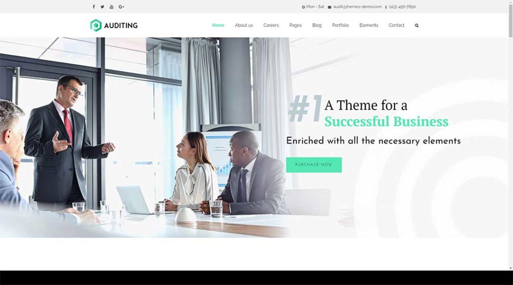 Auditing Accounting Consultant Finance WordPress Theme