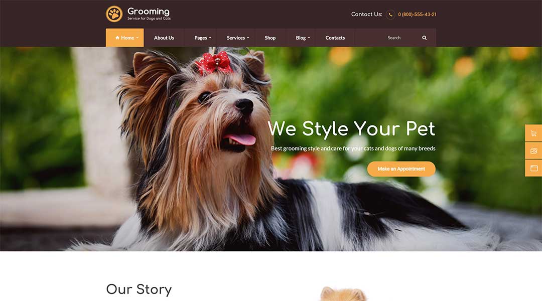 Grooming Pet Shop & Veterinary Physician WordPress Theme
