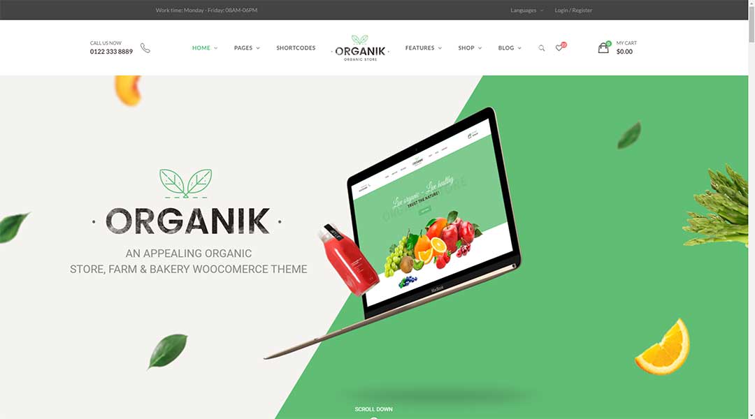 Organik Organic Food Store WordPress Theme