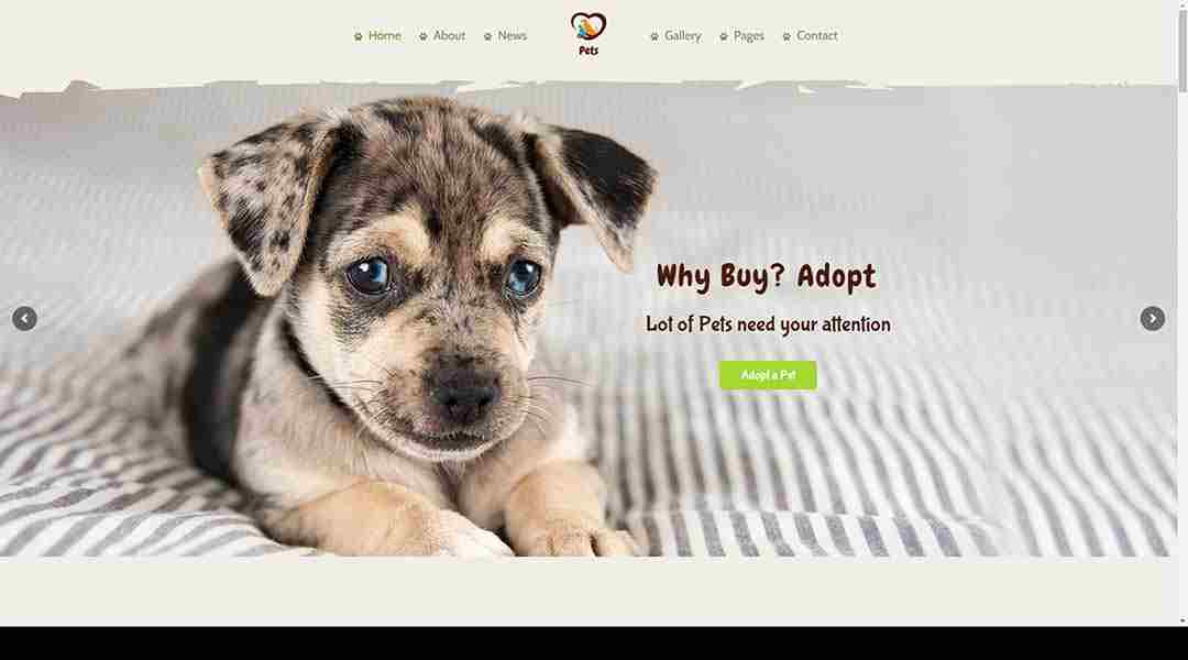 Pet World Dog Care & Pet Shop Theme