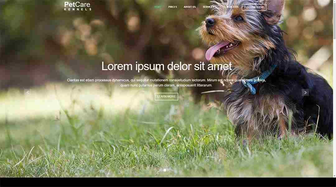 PetCare Dog Kennels WordPress Theme 