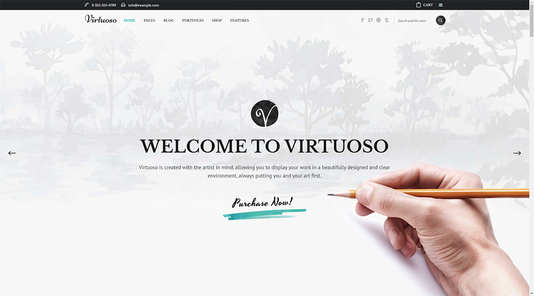 Artisto fullscreen portfolio for artists using Wordpress